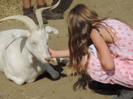 Parc animalier des gorges de l'Ardèche