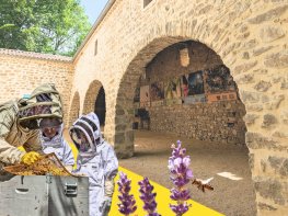 La Ferme des Abeilles