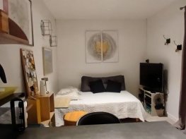 Studio - Orchidées sauvages