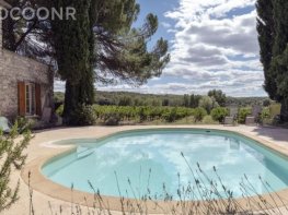 MAS RIBAUTE (10 pers.)