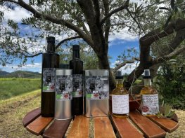 Moulin à Huile d'olive 
