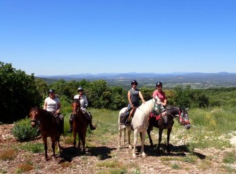 LES CHEVAUX DU CANTAURE