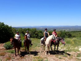 LES CHEVAUX DU CANTAURE