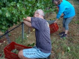 Domaine des Bragalous