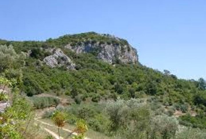 Paysage de garrigue