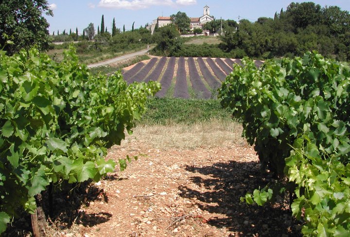 Village du lavandin