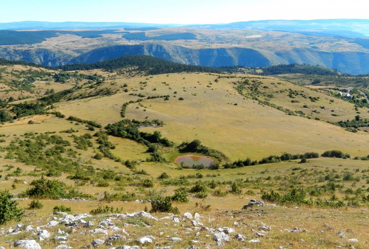 Lavogne du Puech d'Alluech © Entente Interdépartementale des Causses et des Cévennes