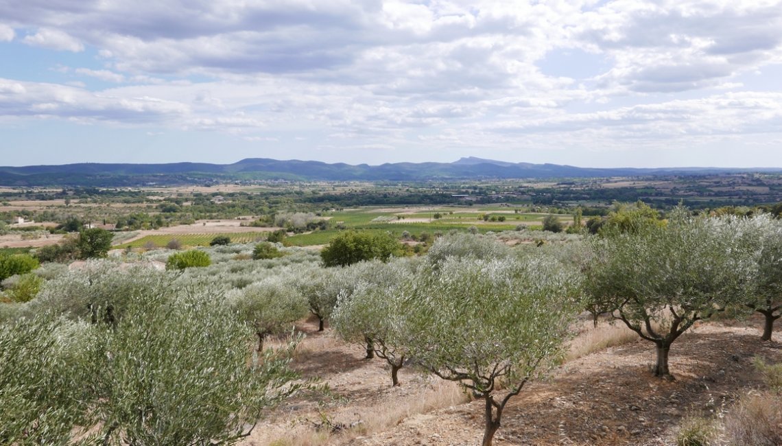 Agritourisme en Cèze Cévennes © Odile Pagès