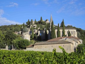 La-Roque-sur-Cèze, Village et Vigne © Eddy Termini