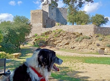 Château de Montalet © Sophie Valentin